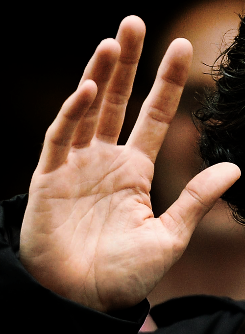 Benedict Cumberbatch's palm